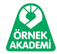 ÖRNEK AKADEMİ YAYINLARI