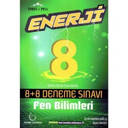 PALME 8. SINIF ENERJİ FEN BİLGİSİ DENEME