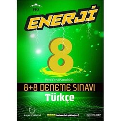 PALME 8. SINIF ENERJİ TÜRKÇE DENEME